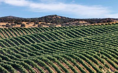 Seven under-the-radar wine regions for moreish pours