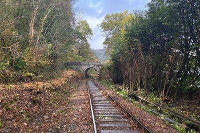 Picturesque Welsh railway reopens after £1.4 million revamp