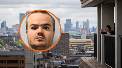 This teenager hurled a six-year-old off the 10th floor of an art gallery, he fell 100 ft and doctors assumed he was dead, he wasn’t