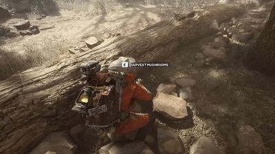 How to find and use Mushrooms and Pillows in ARC Raiders