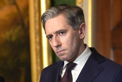 Politicians of the centre cannot ‘put fingers in ears’ on migration – Tanaiste