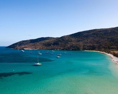 A luxury cruise ship stopped at a remote Australian island. Suzanne Rees was left behind and died alone