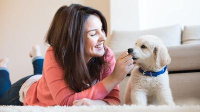 5 Side Gigs You Can Do in Your Neighborhood