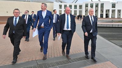 Nationals council ditches net zero from policy platform