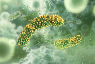 Listeria outbreak in ready-to-eat-meals has now caused six deaths and at least 27 to fall ill