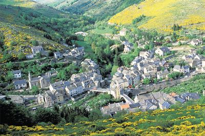French cyclist, 77, survives for three days on red wine after plunging down 130ft ravine