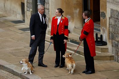 Late Queen’s corgis to remain in care of Andrew’s family – Buckingham Palace