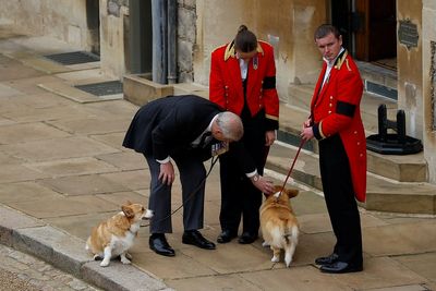 Buckingham Palace confirms plan for late Queen’s corgis after Andrew stripped of title