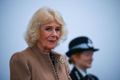 Camilla was ‘concerned’ Andrew row would impact on her work with abuse survivors