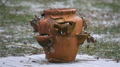 These 3 Methods Shield My Pots and Planters From Frost Every Time – Protect Them Now for Pristine, Damage-Free Containers Come Spring