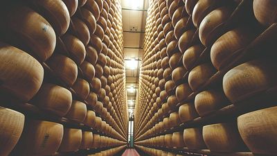 Inside Italy’s ultimate cheese festival: Parma opens its dairies for Caseifici Aperti