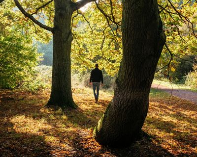 Britain one of least ‘nature-connected’ nations in world – with Nepal the most