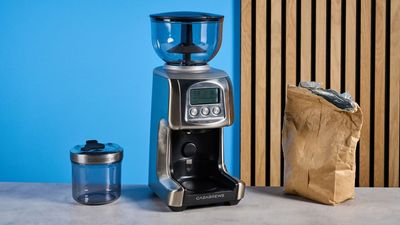 I finally found an electric coffee grinder under $150 — but I can only recommend it for one type of home barista