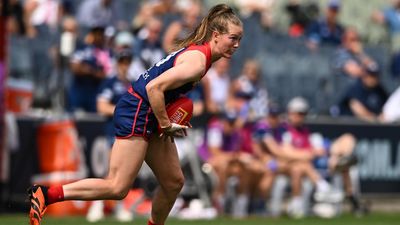 Zanker bags four against Cats as Demons nab second spot