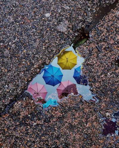 ‘The rainbow of colours reminded me of my childhood’: Guillaume Lavrut’s best phone picture