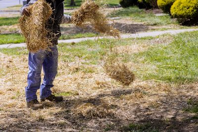 Why Straw Mulch Beats Plastic for Protecting Winter Crops