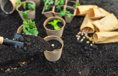 The Drainage Mistake That’s Ruining Your Garden’s Soil Each Winter