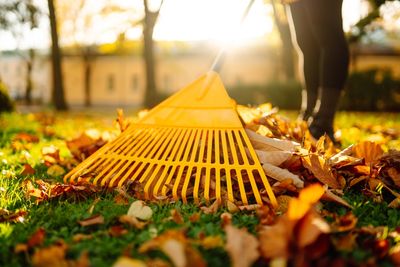 10 Seasonal Sales That Deliver Maximum Savings Every Fall