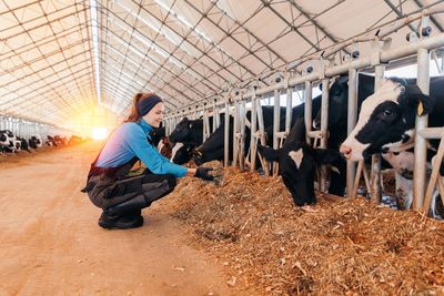 14 Dairy Deals That Families Should Never Ignore