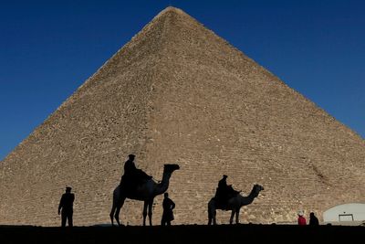 Horses and camels used to ferry tourists in Egypt are abused and left to die near the pyramids, investigation says