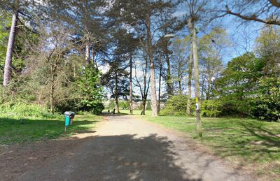 Police launch urgent manhunt after teenage girl raped in busy park in horror broad daylight attack