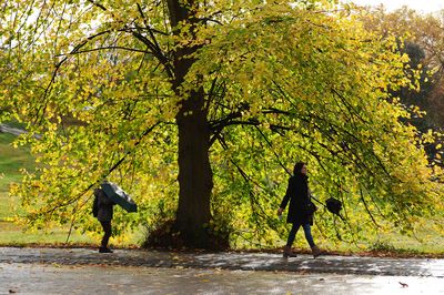 November expected to be warmer than usual but showers set to continue
