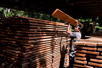 Can wood be good? Green forestry standards demystified, from FSC to SFI