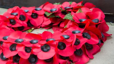 Which side do you wear a poppy on and what are different coloured poppies for?