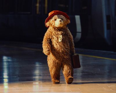 Big belly, wavy fur and a nose for trouble: we exclusively reveal the new-look Paddington