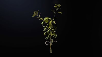 How to get Great Mullein in ARC Raiders