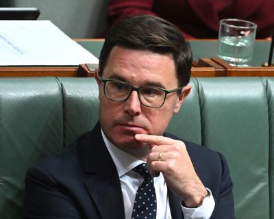 Sussan Ley under pressure as Nationals formally scrap net zero target