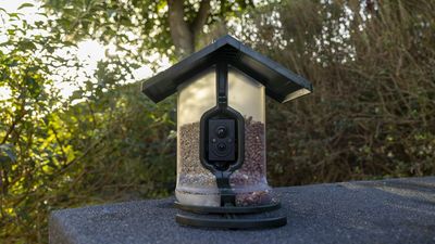 FeatherSnap Scout bird feeder camera review: less smart and more manual, but still fun for birders
