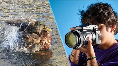 This $1,100 camera beats out $10,000 super telephoto lenses for wildlife photography, and I've taken some of my best photos yet