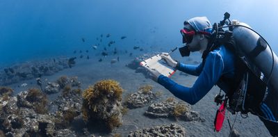 Reef restoration shouldn’t just be about growing corals - but also bringing reefs to life, new study suggests