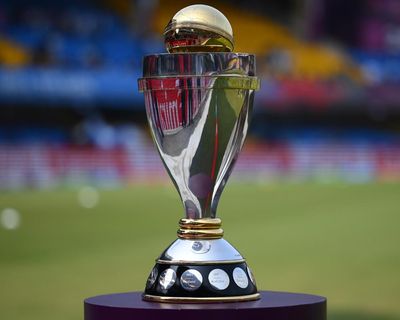 India beat South Africa by 52 runs to win the World Cup – as it happened