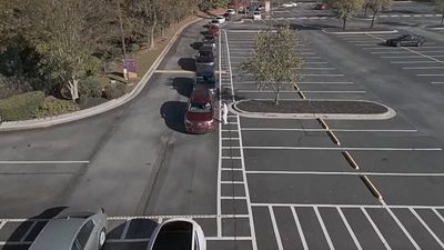 US food stamp cuts: hundreds line up for food aid as funding freeze nears