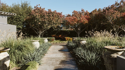5 Landscaping Features That Might Be Great for Summer, But That You'll Always Regret Come Winter