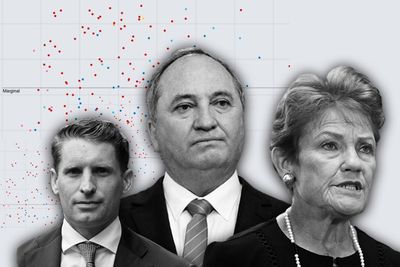 The Coalition have a better chance of winning by chasing teal voters over One Nation voters