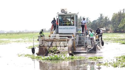 Invasive water hyacinths choke wildlife and livelihoods in southern Ghana