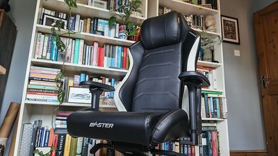 I'm not usually a fan of gaming chairs but this one is surprisingly great