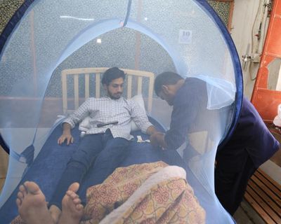 Aid cuts could set back fragile gains in eliminating neglected tropical diseases