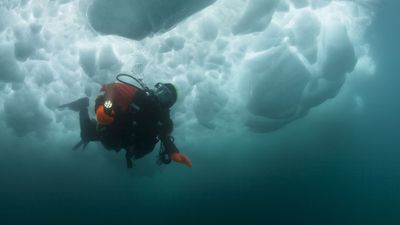 The Bering Land Bridge has been submerged since the last ice age. Will scientists ever study it?