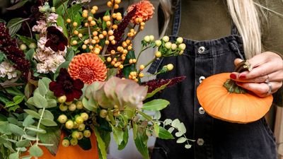 Petals & Roots: How to Create a Beautiful, Sustainable Pumpkin Floral Design – and Level up Your Thanksgiving Décor
