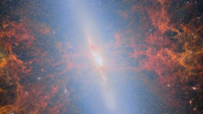 Webb reveals a fiery starburst in the Cigar Galaxy — Space photo of the week