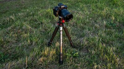 I’ve been using the Freewell Real Multi Tripod 5-in-1 for several weeks, and it’s everything I’ve ever wanted in a travel tripod and more