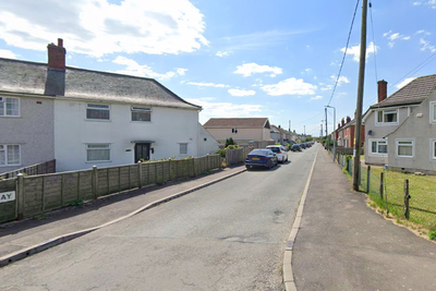 Nine-month-old baby dies after dog attack in Wales