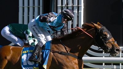 Local hero Half Yours carries weight of a nation