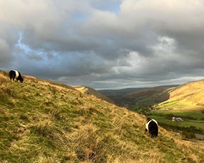 Country diary: A little remote control goes a long way in farming
