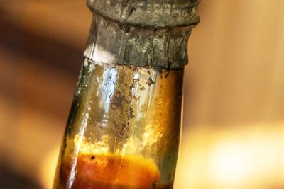 Arctic explorers’ beer to be uncorked after 150 years for new brew