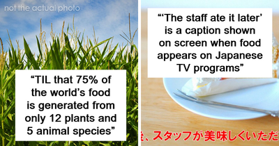 41 Intriguing “Today I Learned” Facts That Show How Little We Actually Know (New Facts)